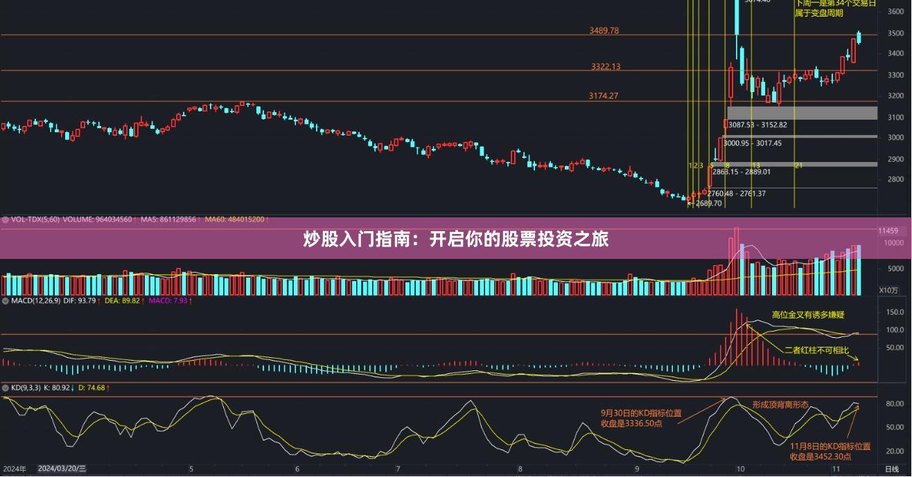 炒股入门指南：开启你的股票投资之旅